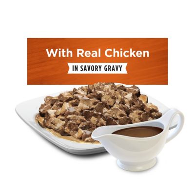 Image showing  Gravy Adult High-Protein Chicken Recipe Wet Dog Food, High-Protein with Real Chicken