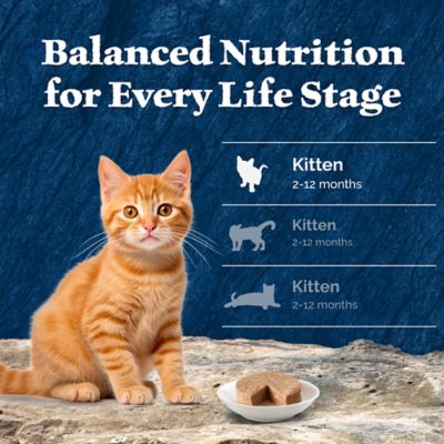 Image showing 7 th Blue Buffalo Wilderness Kitten High-Protein Grain-Free Chicken and Salmon Pate Variety Pack., 3 oz., Pack of 6 Cans