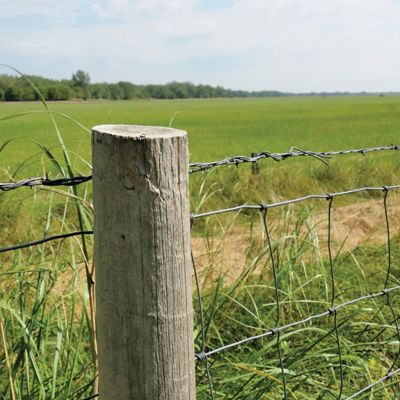 Image showing  100 lb. 4-Strand Wire, #20 x 100 ft., Galvanized