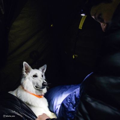 Image showing  USB Light-Up Neck Ring Pet Collar Accessory