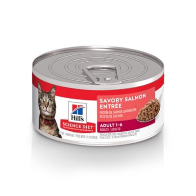 Hill's Science Diet Adult Savory Minced Salmon Wet Cat Food, 5.5 oz. Can Our newly adopted tabby cat, Simba, is pretty picky when it comes to canned food