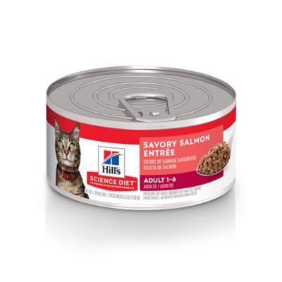 Hill's Science Diet Adult Savory Minced Salmon Recipe Wet Cat Food, 5.5 oz.