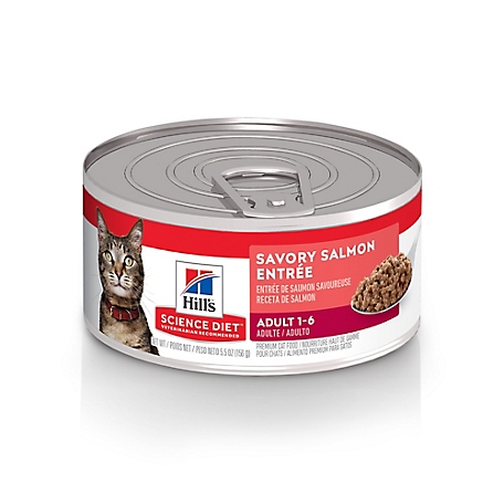 Hill's Science Diet Adult Savory Minced Salmon Wet Cat Food, 5.5 oz. Can