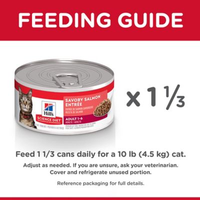 Image showing 6 th Hill's Science Diet Adult Savory Minced Salmon Recipe Wet Cat Food, 5.5 oz.