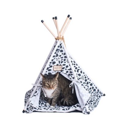 Armarkat Cat Tent Cave Teepee Shaped Cat Bed For Kitten, White/Black Paw Print