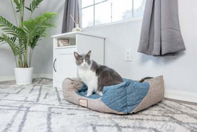 Image showing  Polyfill Warm Bolster Indoor Cat Bed for Small Pets