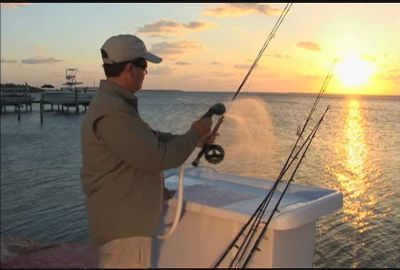 Image showing  Una Sunglasses, Matte Tortoise Frame with Amber Lenses, Small
