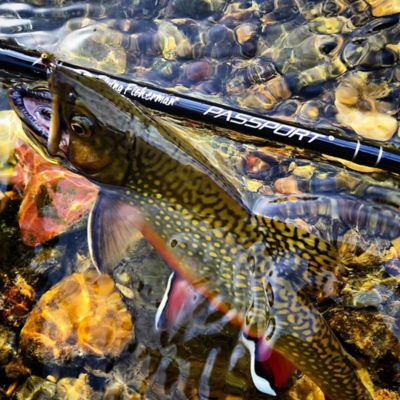 Image showing  Fly Passport 6 ft. Spinning Rod Set, 8-14 lb., Light