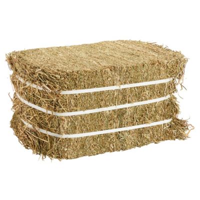 DuMOR 2-String Compressed Orchard/Alfalfa Horse Hay, 45 lb., Approx. 12 in. x 16 in. x 22 in. (Varies by Package)