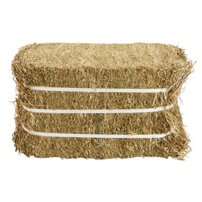 Image showing  2-String Compressed Orchard/Alfalfa Horse Hay, 45 lb., Approx. 12 in. x 16 in. x 22 in. (Varies by Package)