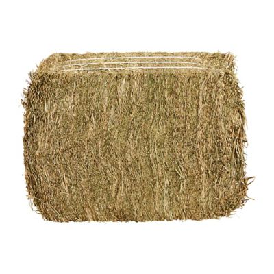 Image showing  2-String Compressed Orchard/Alfalfa Horse Hay, 45 lb., Approx. 12 in. x 16 in. x 22 in. (Varies by Package)