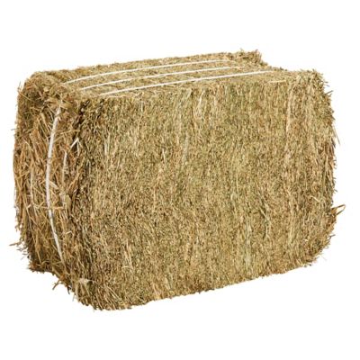 Image showing  2-String Compressed Orchard/Alfalfa Horse Hay, 45 lb., Approx. 12 in. x 16 in. x 22 in. (Varies by Package)