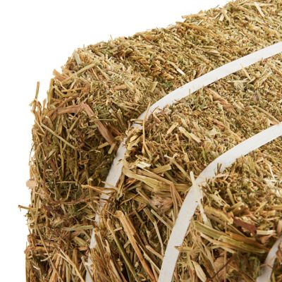 Image showing  2-String Compressed Orchard/Alfalfa Horse Hay, 45 lb., Approx. 12 in. x 16 in. x 22 in. (Varies by Package)