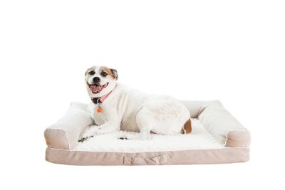 Armarkat Upholstered Memory Foam Mattress Dog Bed, Beige, 35 in.