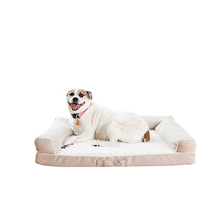 Armarkat Upholstered Memory Foam Mattress Dog Bed, Beige, 35 in.