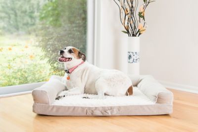 Image showing  Upholstered Memory Foam Mattress Dog Bed, 35 in., Beige