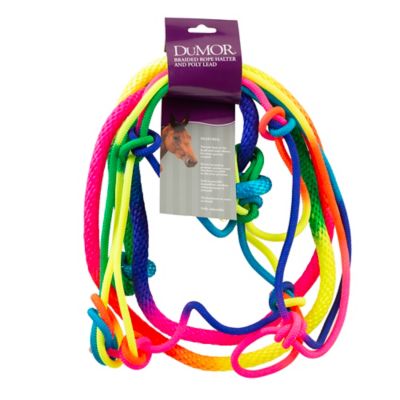 Image showing  Rope Horse Halter with 7 ft. Detachable Lead, Rainbow