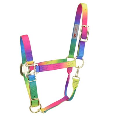 DuMOR Premium Nylon Horse Halter, Rainbow, Small