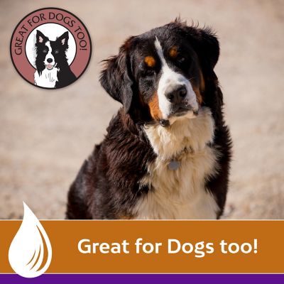 Image showing 5 th Farnam Vetrolin Shine Horse Conditioner, 20 oz.