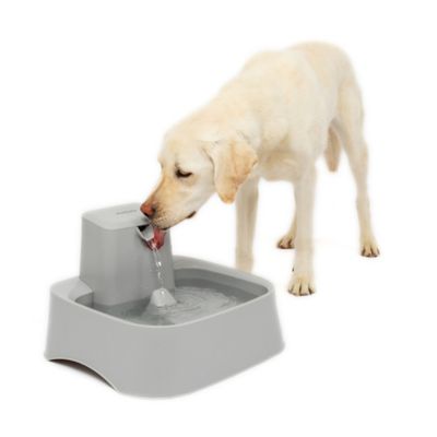 PetSafe Drinkwell 2 Gallon Pet Fountain - Great for Large Pets and Multi-Pet Households - 2 Gallon Capacity