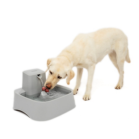 New Product Pet Dual-use Water Cup For Dogs