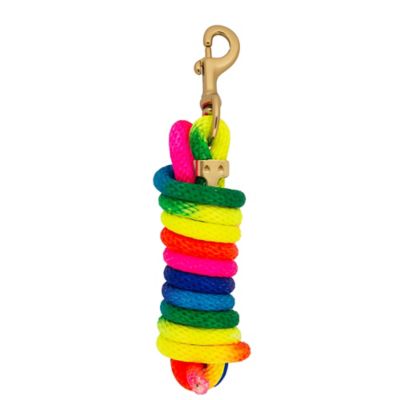 DuMOR 10 ft. Polyester Lead Rope with Bolt Snap, Rainbow