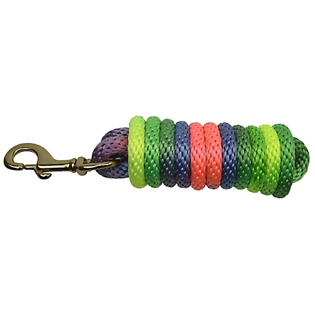 DuMOR 10 ft. Polyester Lead Rope with Bolt Snap, Rainbow