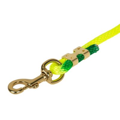 Image showing  10 ft. Polyester Lead Rope with Bolt Snap, Rainbow