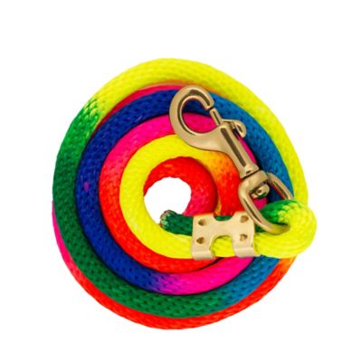 Image showing  10 ft. Polyester Lead Rope with Bolt Snap, Rainbow