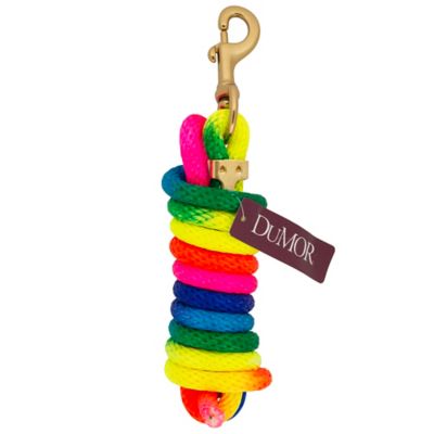 Image showing  10 ft. Polyester Lead Rope with Bolt Snap, Rainbow