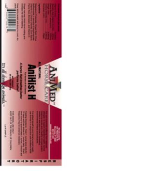 Image showing  Anihist-H Horse Allergy Supplement, 20 oz.
