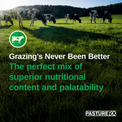 Image showing  23 lb. 43,560 sq. ft. Pasture Grass Seed, North