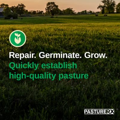 Image showing  23 lb. 43,560 sq. ft. Pasture Grass Seed, North