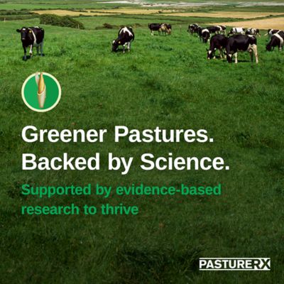 Image showing  23 lb. 43,560 sq. ft. Pasture Grass Seed, North