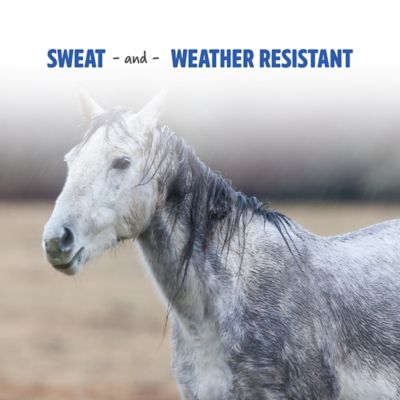 Image showing  Opti Force Fly Spray, 1 qt.