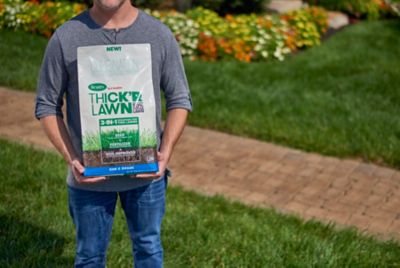 Image showing  12 lb. 1,200 sq. ft. Turf Builder Thick'R Lawn Sun and Shade Grass Seed Mix