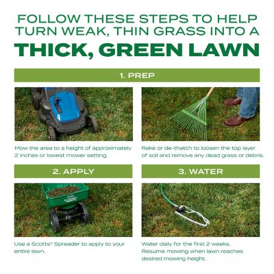 Image showing 5 th Scotts 12 lb. 1,200 sq. ft. Turf Builder Thick'R Lawn Tall Fescue Grass Seed Mix