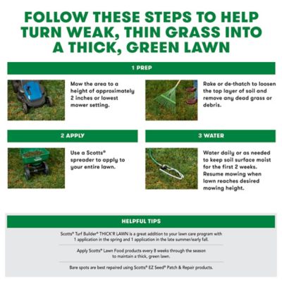 Image showing  40 lb. 4,000 sq. ft. Turf Builder THICK'R LAWN Tall Fescue Mix