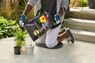 Image showing  6 qt. Performance Organics All-Purpose Container Mix