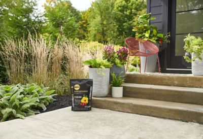 Image showing 7 th Miracle-Gro 6 qt. Performance Organics All-Purpose Container Mix