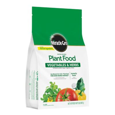 Image showing 8 th Miracle-Gro 2 lb. 800 sq. ft. Water Soluble Plant Food Vegetables and Herbs