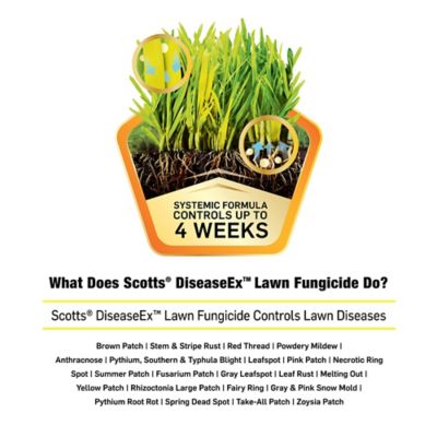 Image showing  10 lb. DiseaseEx Lawn Fungicide