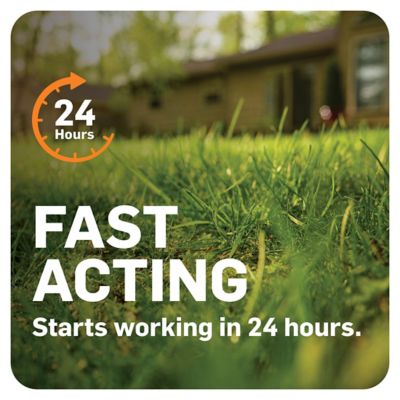 Image showing 5 th Scotts 10 lb. DiseaseEx Lawn Fungicide