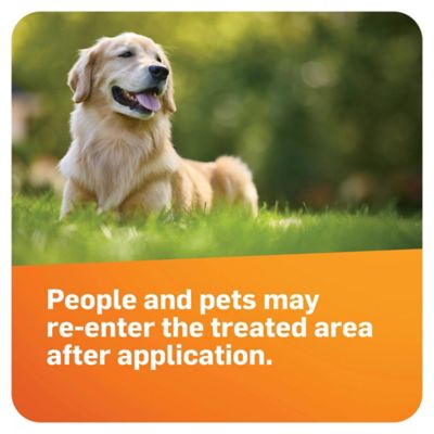 Image showing 9 th Scotts 10 lb. DiseaseEx Lawn Fungicide