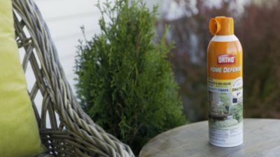 Image showing  16 oz. Home Defense Backyard Mosquito and Bug Killer Area Fogger