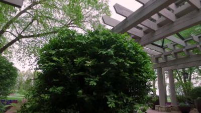 Image showing  1.5 cu. ft. Trees & Shrubs Garden Soil