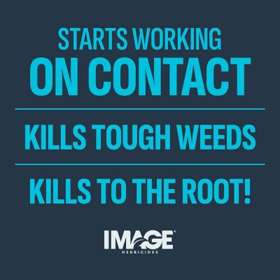 Image showing  24 oz. Herbicide Crabgrass, Nutsedge, & Weed Killer for Lawns Concentrate