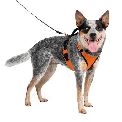 Image showing  Easysport Dog Harness