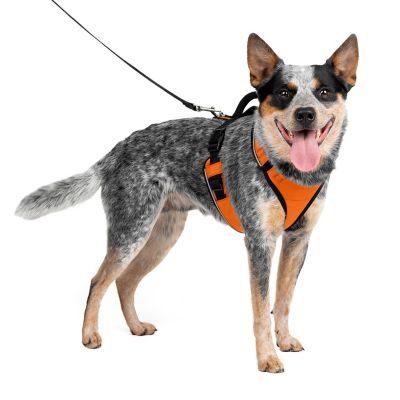 PetSafe Easysport Dog Harness