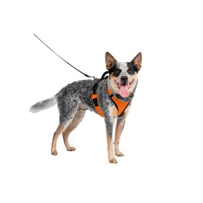 Image showing 6 th PetSafe Easysport Dog Harness